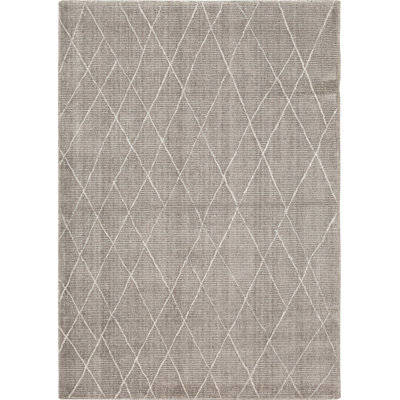Indoor Rug
