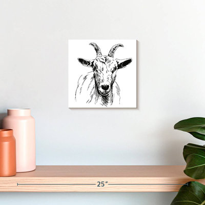 Brampt Horned Goat