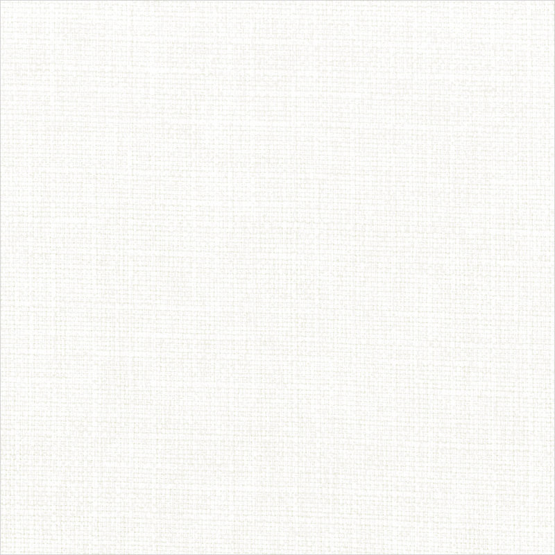 Birch Lane Turbo 2" Textured Solid Dining Chair Seat Pad with Ties - 14 Colors Available!, White