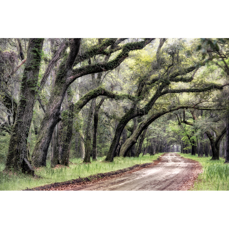 Dirt Road II - Photograph, 81 cm H x 122 cm W, Black Floater Framed