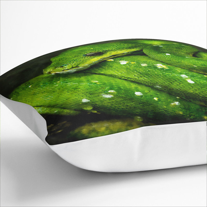 Green Python Snake Square Throw Cushion, 55cm H x 55cm W x 20cm D, White