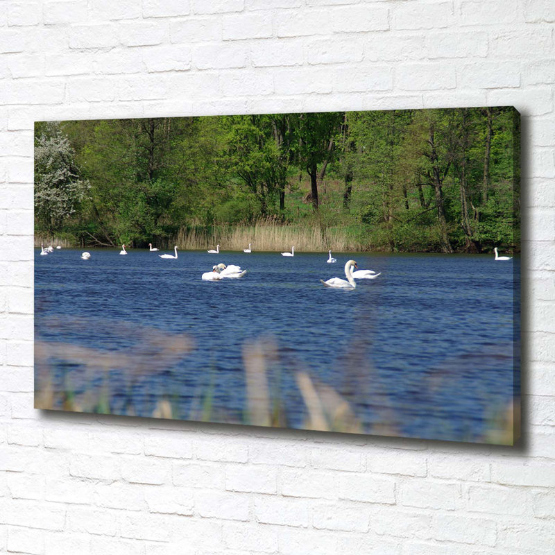 White Swans - No Frame Print on Canvas