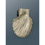 Sheila Shell Door Knocker-1529031703