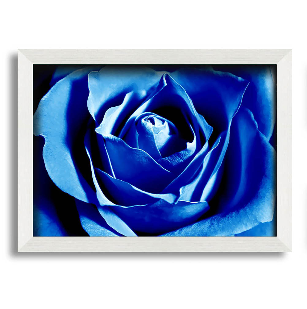 Gerahmtes Leinwandbild Blue Rose Petal