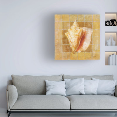 Bolog Danhui Nai Seashell IV Canvas Art