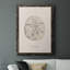 Shore Treasure Study III, reproduction d'art sur toile-88379841-88379843