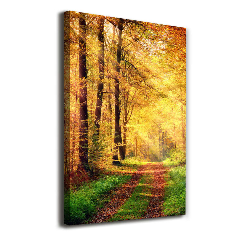 Autumn Forest - Wrapped Canvas Print