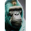 Mister Gorilla Print on Glass
