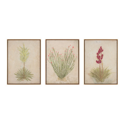 «Desert Flora Triptych» par Paul Meyer