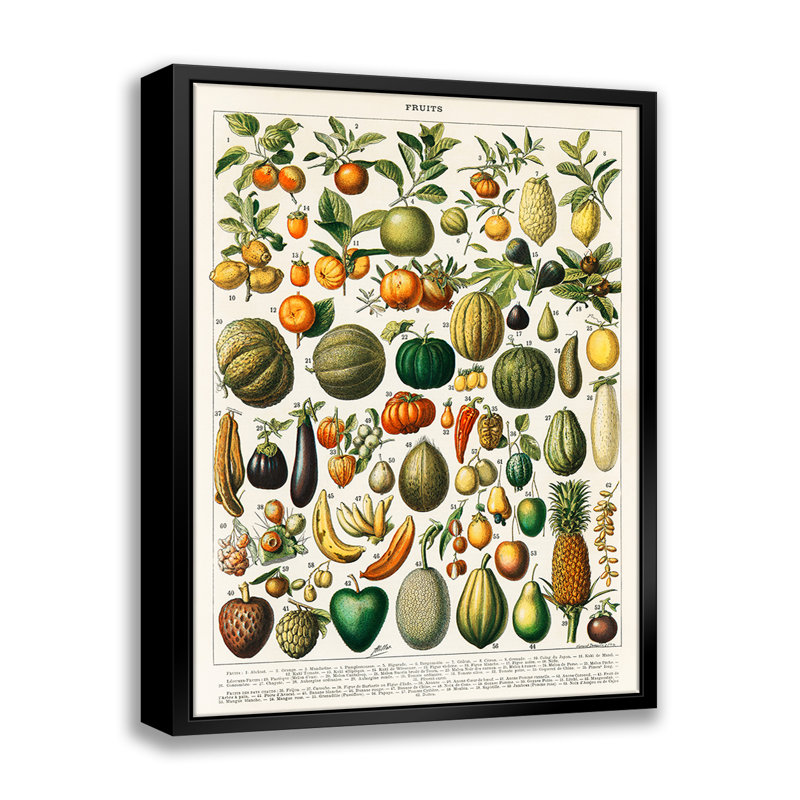 Fruits et légumes par Stanley Print House - on, L 22 po x H 28 po