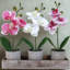 Orchidée artificielle Real Touch, ensemble de 3 pots à fleurs en bois rustique, plantes en faux phalaenopsis pour bureau à domicile