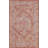 Outdoor Nile Area Rug Rust Color-1017498417