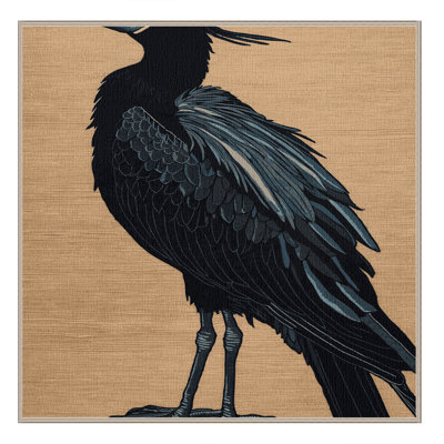 Washable Magnificent Frigatebird Birds Area Rug