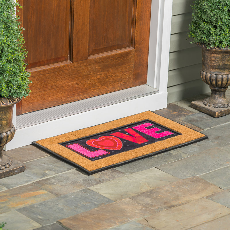 Tapis d'entrée antidérapant 22 po x 10 po Valentines Day Love Heart Sassafras