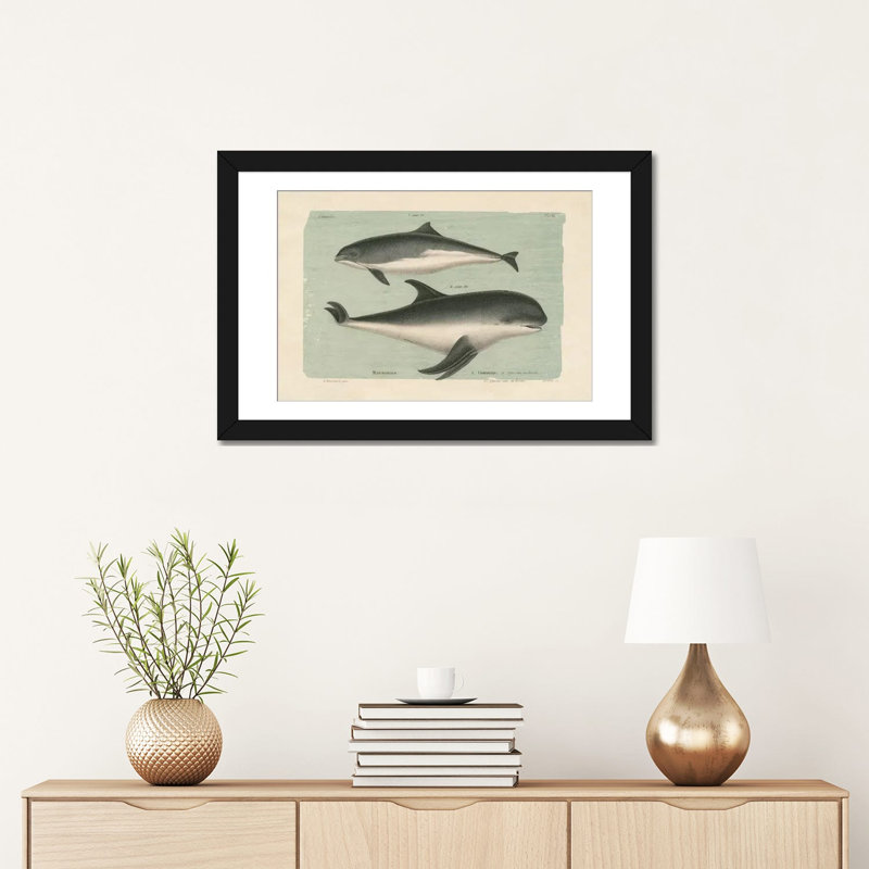 Art sur toile tendue, "baleineing sketch i", Toile tendue, Blanc, H 16 po x l 24 po x P 1 po