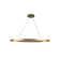 Ovale 1 - Light LED Unique/Statement Pendant