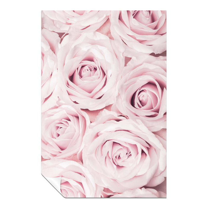 Pastel Pink Roses Close Up - No Frame Print, 31cm H x 20cm W