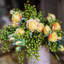 Dilatatum plante en faux linden-1499194275-1499194301