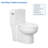 Elongated 17.5" Standard Height One-Piece Toilet Siphonic Flush One-Piece Dual-Flush Toilet (Seat Included)-125361179-125361177