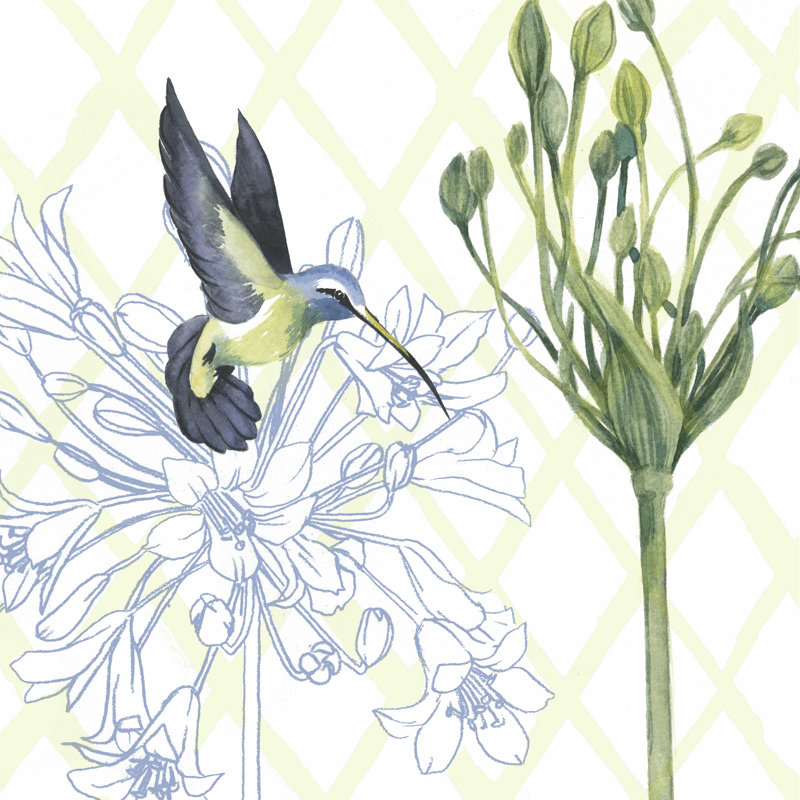 «Hummingbird Dance III» par Grace Popp - peinture sur toile tendue, H 12 po x l 12 po x P 1,25 po