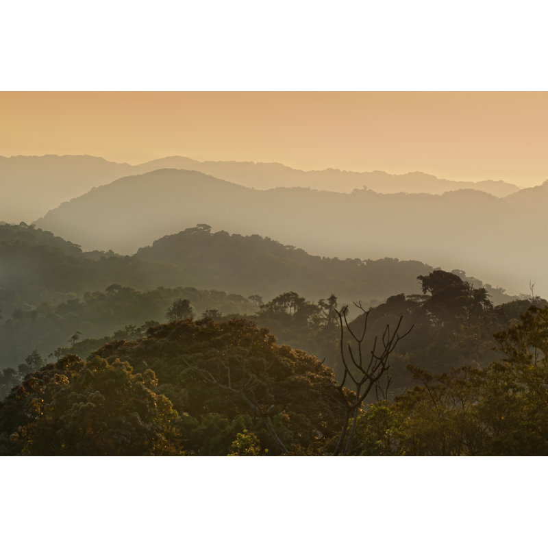 African Morning by Guenterguni - Wrapped Canvas Print, 51cm H x 76cm W x 3.8cm D