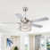 Zeiger 52'' Ceiling Fan with Light Kit