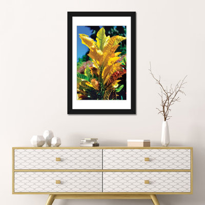 « refermabilité des feuilles multicolores, tahiti, polynésie française », reproduction de photo sur toile