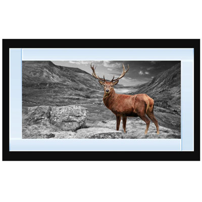 Mirror Frame Print on Canvas