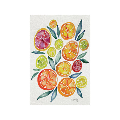 Citrus Slices by Cat Coquillette - Print on Canvas