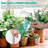 CELECTIGO Grow Light for Indoor Plants