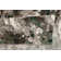 Noemy Abstract Indoor Rug