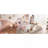 Twin Size Princess Carriage Bed With Crown
