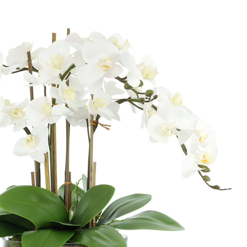 Orchids And Bamboo In A Clear Glass Oblong Vase