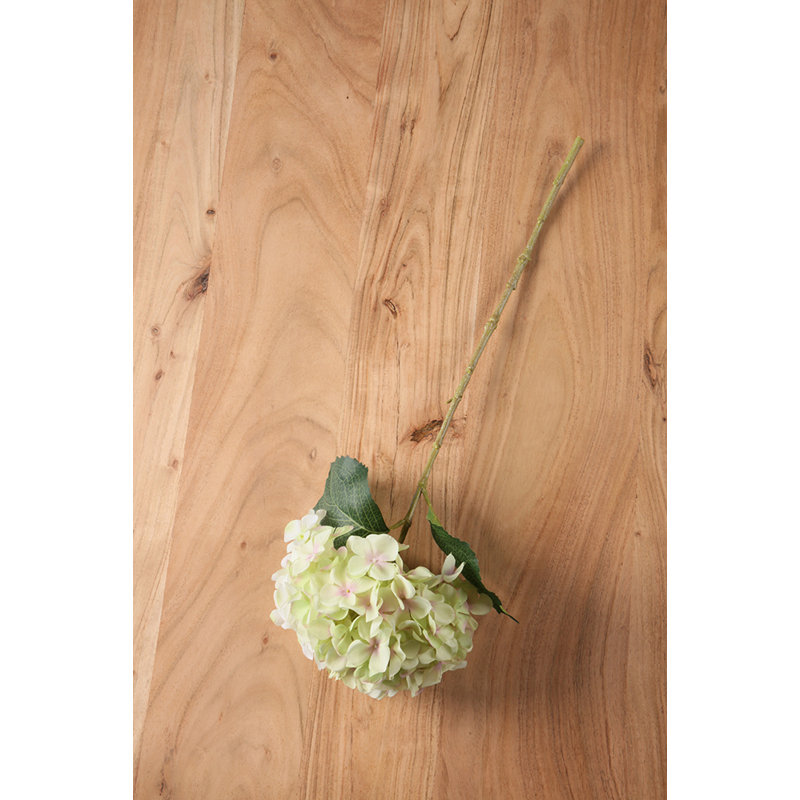 Faux Cream/Green Hydrangea Stems