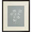 Cinelli Nature's Gift I S / 2