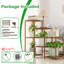Charlane Plant Stand