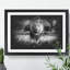Lion Vol.5 - Picture Frame Graphic Art-62802652-62802653