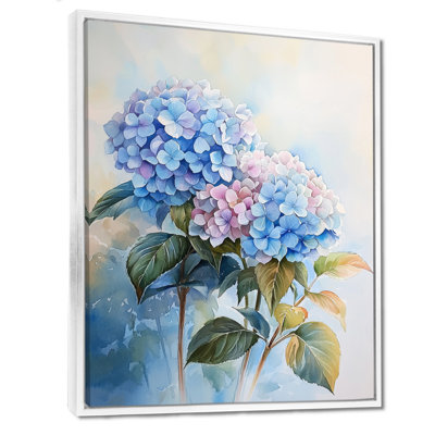 Hydrangeas In The Morning Light III - Hydrangea Framed Prints