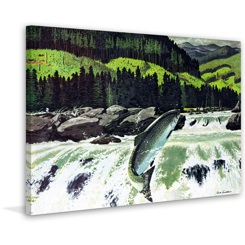 « saumon run », reproduction d’art sur toile tendue, H 12 po x l 18 po x P 1,5 po