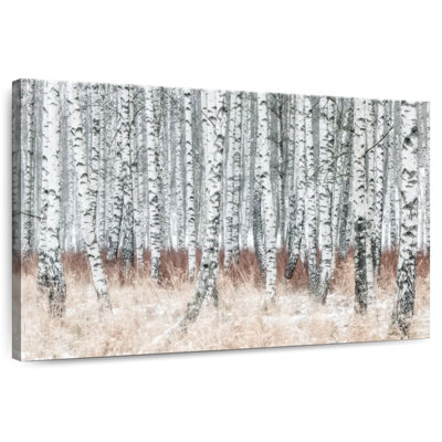 Alvord Winter Birch Grove