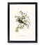Peaceful Ground Doves by Elizabeth Gould - Framed Print-55578332-55578335
