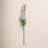 Fuchsia Stems