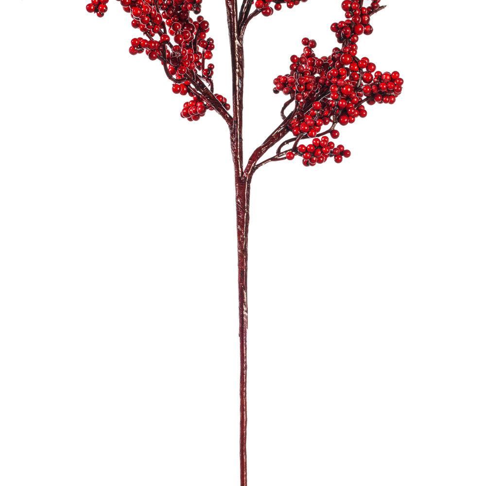 Petite Cluster Berry Stems
