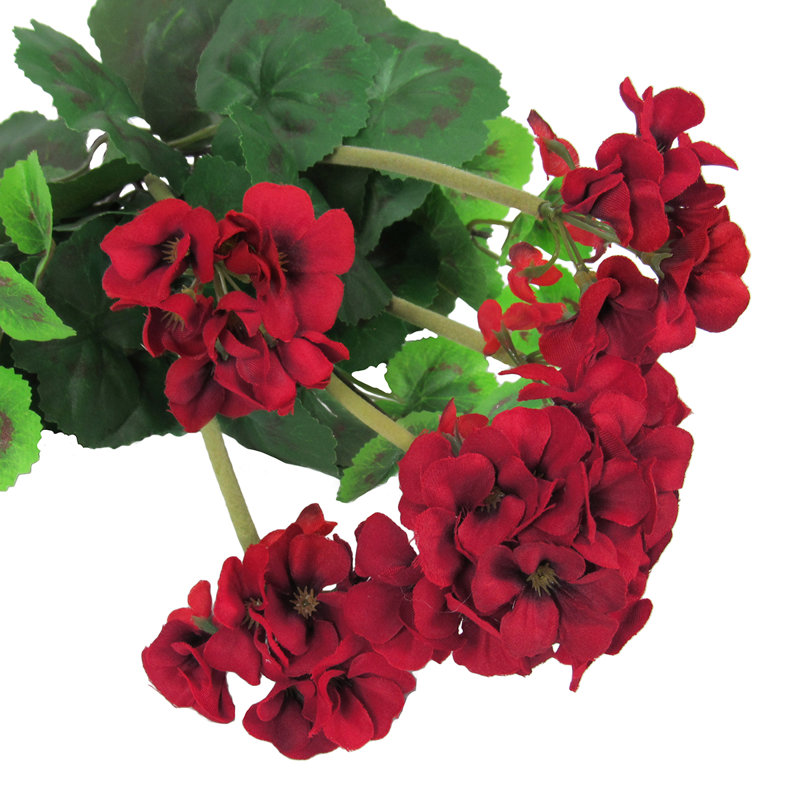 Fleur de géranium, Rouge / vert