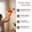 Foshee Armed Sconce-142612135