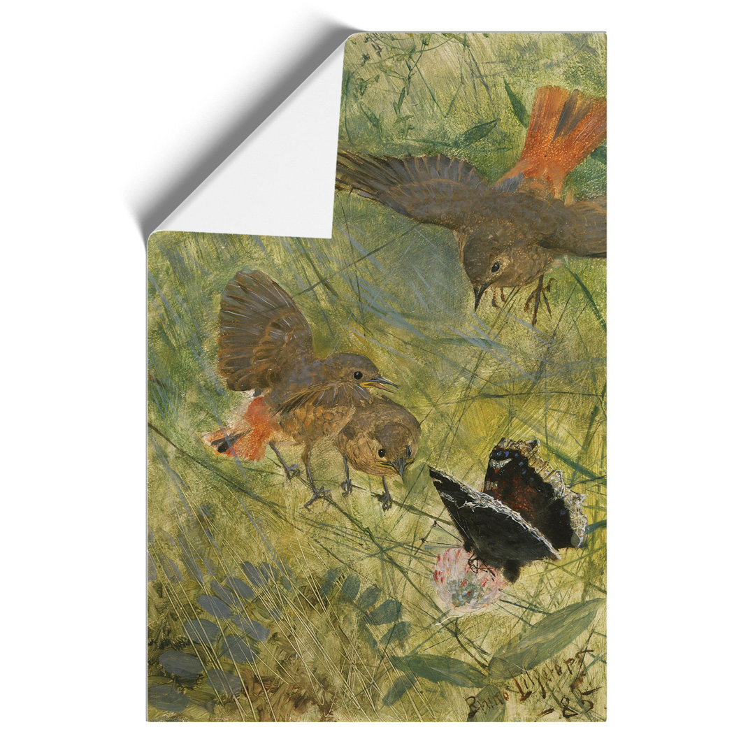 Redstart Birds and Butterflies by Bruno Liljefors - Frameless Print