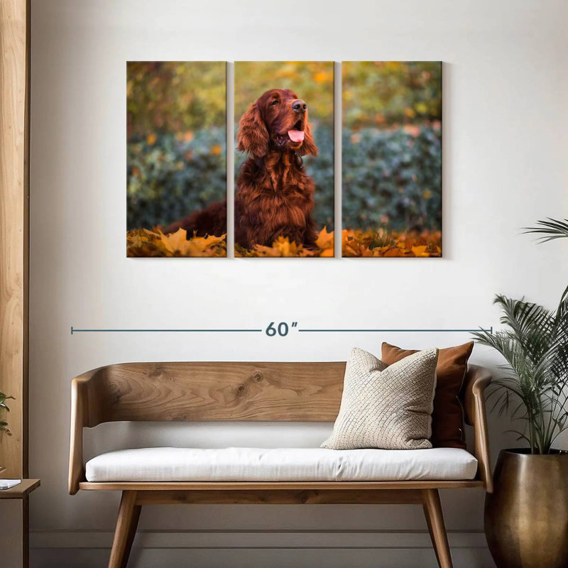 Setter irlandais en automne, H 28 po x l 45 po