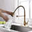 Fapully Pull Down Kitchen Faucet