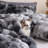 Fluffy Comforter Set Ultra Soft & Warm Faux Fur Comforter With Pillowcases For Winter-117192108-129492456