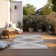 Dynamic Geometric Indoor / Outdoor Area Rug
